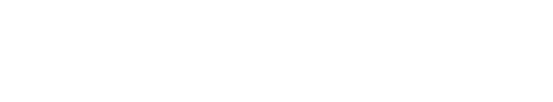 Prof. Dr. Fevzi Şentürk